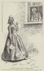 Un pájaro prisionero, señora, nada más